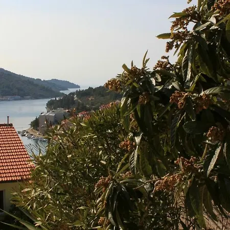 With A Parking Space Vela Luka, Korcula - 7551