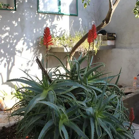 דירה With A Parking Space Vela Luka, Korcula - 7551 וולה לוקה