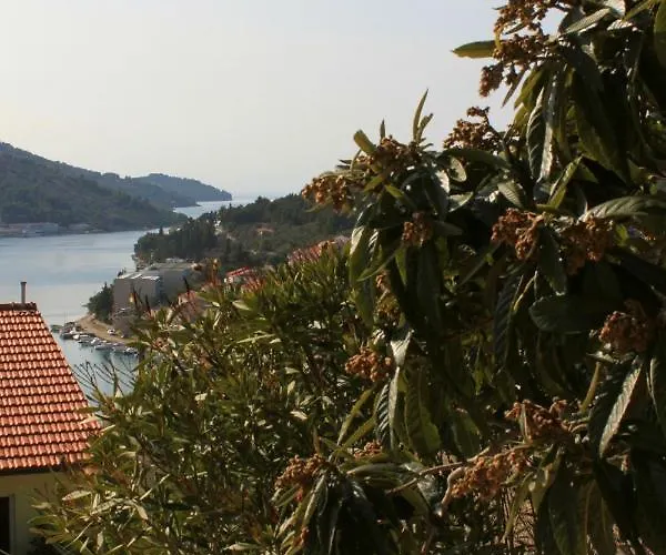 With A Parking Space Vela Luka, Korcula - 7551