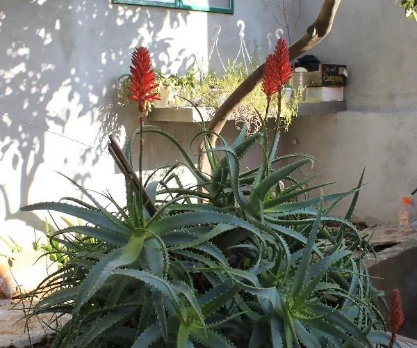 Apartman With A Parking Space Vela Luka, Korcula - 7551 Vela Luka